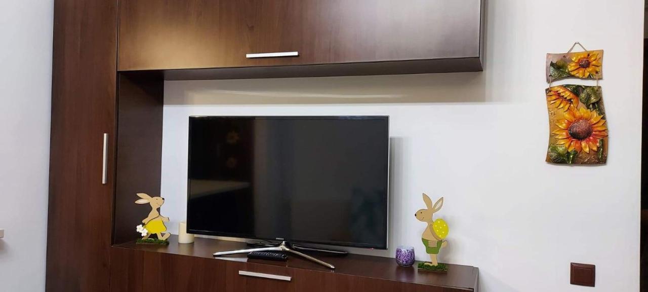 Andi Apartment シビウ エクステリア 写真