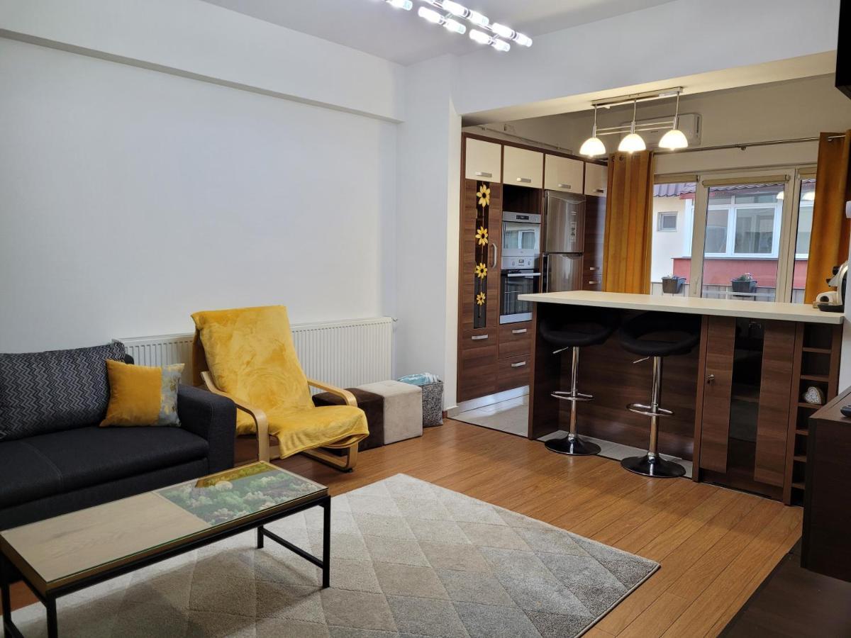 Andi Apartment シビウ エクステリア 写真