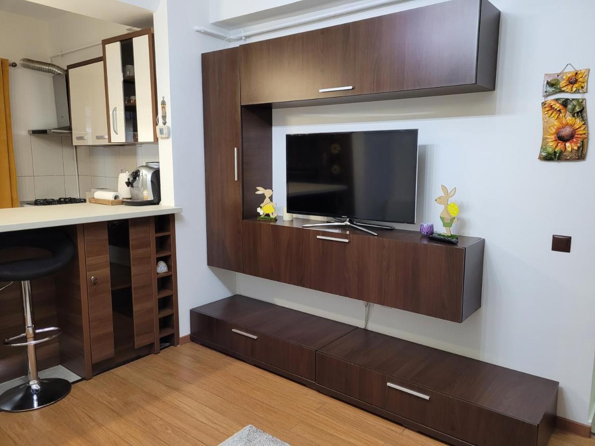 Andi Apartment シビウ エクステリア 写真