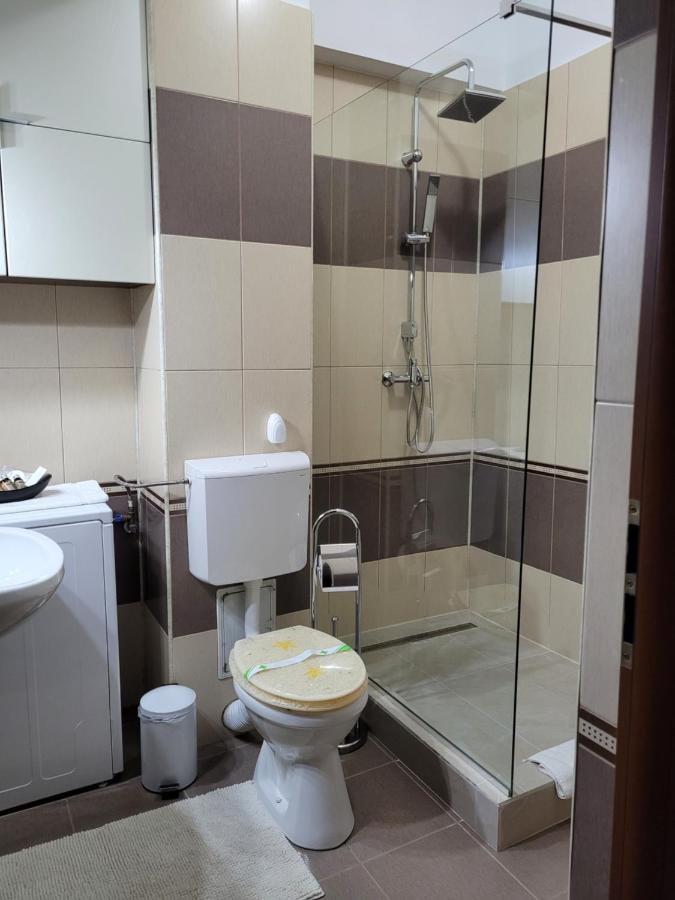 Andi Apartment シビウ エクステリア 写真